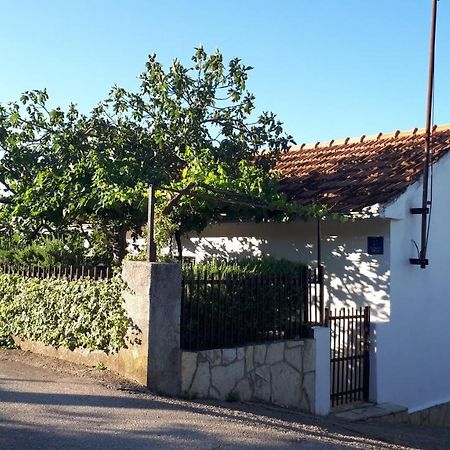 Luminaria Solis Vacation Home Rogoznica  Ngoại thất bức ảnh