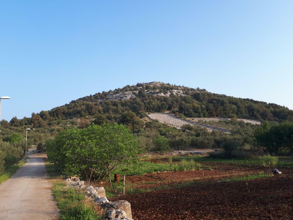 Luminaria Solis Vacation Home Rogoznica  Ngoại thất bức ảnh